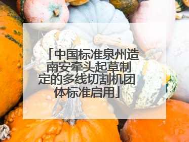 中国标准泉州造 南安牵头起草制定的多线切割机团体标准启用