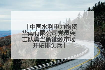 中国水利电力物资华南有限公司党员突击队勇当新能源市场开拓排头兵