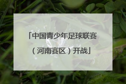 中国青少年足球联赛（河南赛区）开战