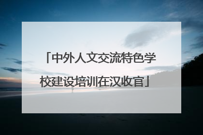中外人文交流特色学校建设培训在汉收官