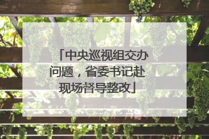 中央巡视组交办问题，省委书记赴现场督导整改