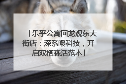 乐乎公寓回龙观东大街店：深系暖科技，开启双栖森活范本