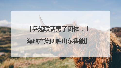 乒超联赛男子团体：上海地产集团胜山东鲁能
