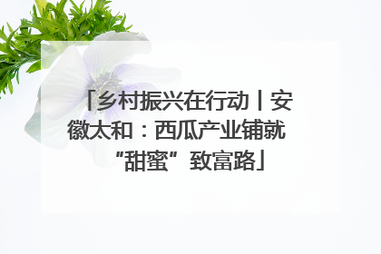 乡村振兴在行动丨安徽太和：西瓜产业铺就“甜蜜”致富路