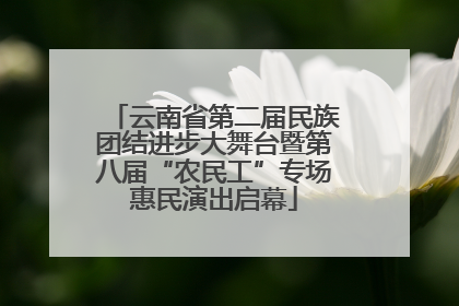 云南省第二届民族团结进步大舞台暨第八届“农民工”专场惠民演出启幕
