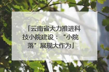 云南省大力推进科技小院建设：“小院落”展现大作为