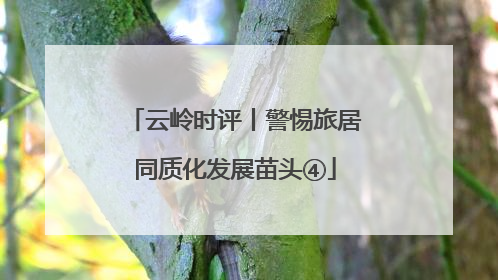 云岭时评丨警惕旅居同质化发展苗头④