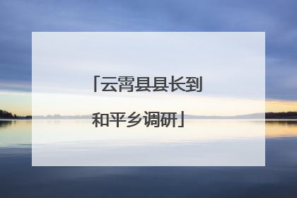 云霄县县长到和平乡调研