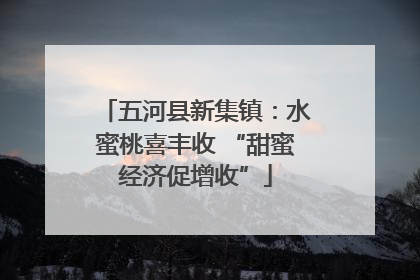 五河县新集镇：水蜜桃喜丰收 “甜蜜经济促增收”