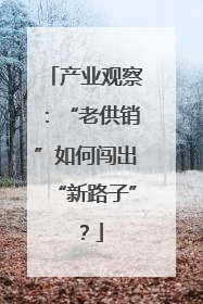 产业观察：“老供销”如何闯出“新路子”？