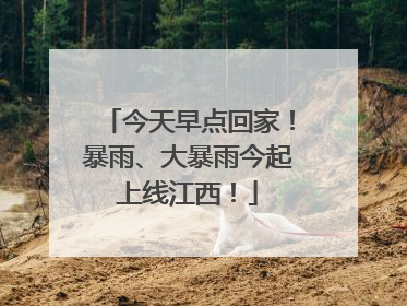 今天早点回家！暴雨、大暴雨今起上线江西！