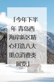 今年下半年 青岛西海岸新区精心打造八大重点消费类展览