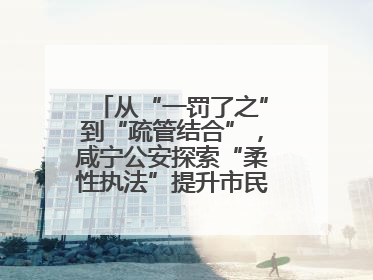 从“一罚了之”到“疏管结合”，咸宁公安探索“柔性执法”提升市民出行体验