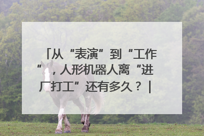 从“表演”到“工作”，人形机器人离“进厂打工”还有多久？｜机器人商业新纪元