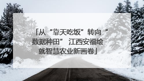 从“靠天吃饭”转向“数据种田” 江西安福绘就智慧农业新画卷
