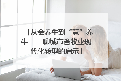 从会养牛到“慧”养牛——聊城市畜牧业现代化转型的启示