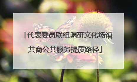 代表委员联组调研文化场馆 共商公共服务提质路径