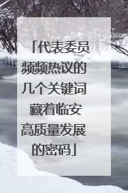 代表委员频频热议的几个关键词 藏着临安高质量发展的密码