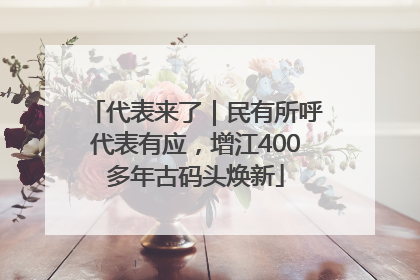 代表来了｜民有所呼代表有应，增江400多年古码头焕新