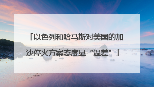 以色列和哈马斯对美国的加沙停火方案态度显“温差”