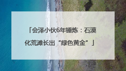 会泽小伙6年锤炼：石漠化荒滩长出“绿色黄金”
