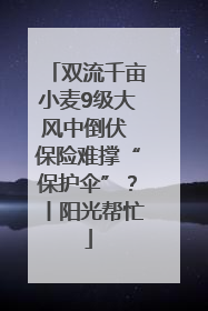 双流千亩小麦9级大风中倒伏 保险难撑“保护伞”？丨阳光帮忙