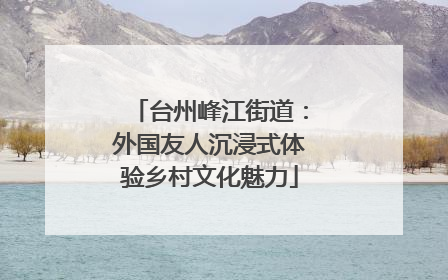 台州峰江街道：外国友人沉浸式体验乡村文化魅力