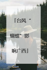 台风“蝴蝶”影响广西
