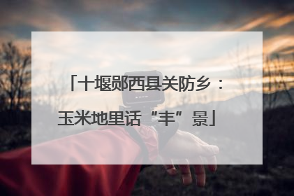 十堰郧西县关防乡：玉米地里话“丰”景