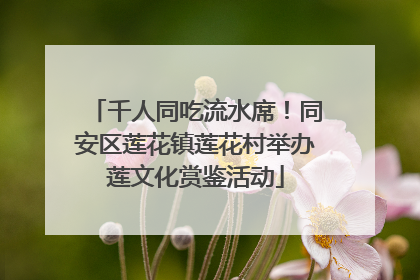 千人同吃流水席！同安区莲花镇莲花村举办莲文化赏鉴活动