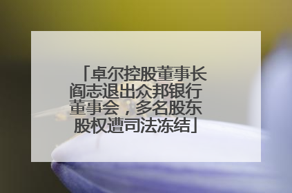 卓尔控股董事长阎志退出众邦银行董事会，多名股东股权遭司法冻结