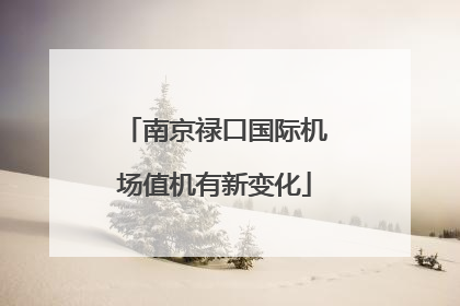 南京禄口国际机场值机有新变化