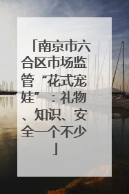 南京市六合区市场监管“花式宠娃”：礼物、知识、安全一个不少