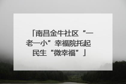 南昌金牛社区“一老一小”幸福院托起民生“微幸福”
