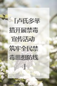 卢氏多举措开展禁毒宣传活动 筑牢全民禁毒思想防线