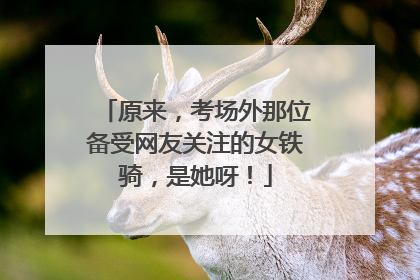 原来，考场外那位备受网友关注的女铁骑，是她呀！