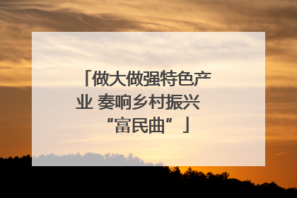 做大做强特色产业 奏响乡村振兴“富民曲”