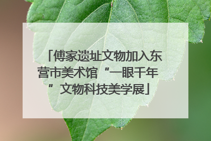 傅家遗址文物加入东营市美术馆“一眼千年”文物科技美学展