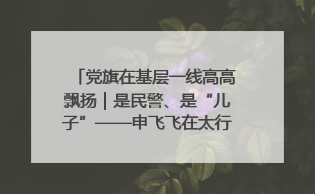 党旗在基层一线高高飘扬｜是民警、是“儿子”——申飞飞在太行山中的一线坚守