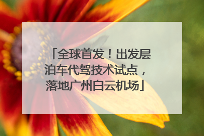 全球首发！出发层泊车代驾技术试点，落地广州白云机场