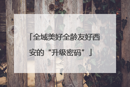 全域美好全龄友好西安的“升级密码”