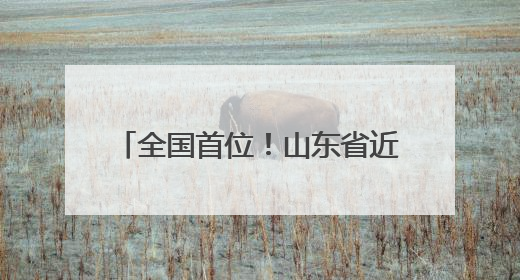 全国首位！山东省近90家医院开设乙肝临床治愈门诊 一图速览门诊医院名单