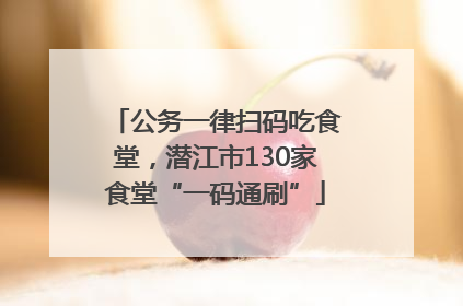 公务一律扫码吃食堂，潜江市130家食堂“一码通刷”