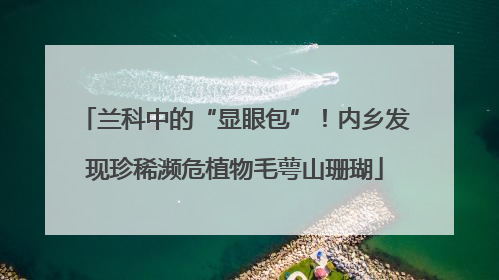兰科中的“显眼包”！内乡发现珍稀濒危植物毛萼山珊瑚