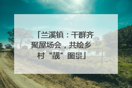 兰溪镇：干群齐聚屋场会，共绘乡村“靓”图景