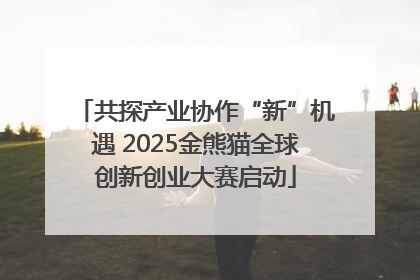 共探产业协作“新”机遇 2025金熊猫全球创新创业大赛启动