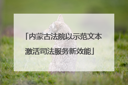 内蒙古法院以示范文本激活司法服务新效能