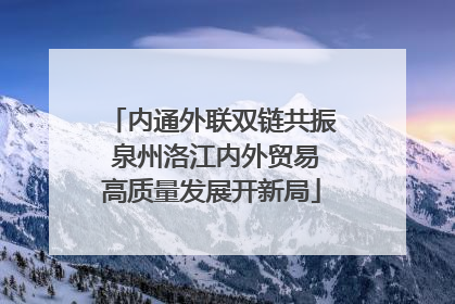 内通外联双链共振 泉州洛江内外贸易高质量发展开新局