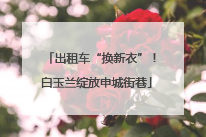 出租车“换新衣”！白玉兰绽放申城街巷