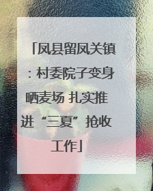 凤县留凤关镇：村委院子变身晒麦场 扎实推进“三夏”抢收工作